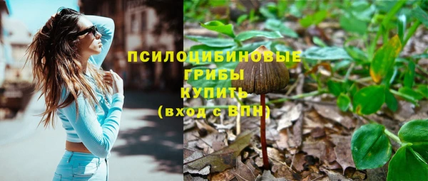 бошки Магас