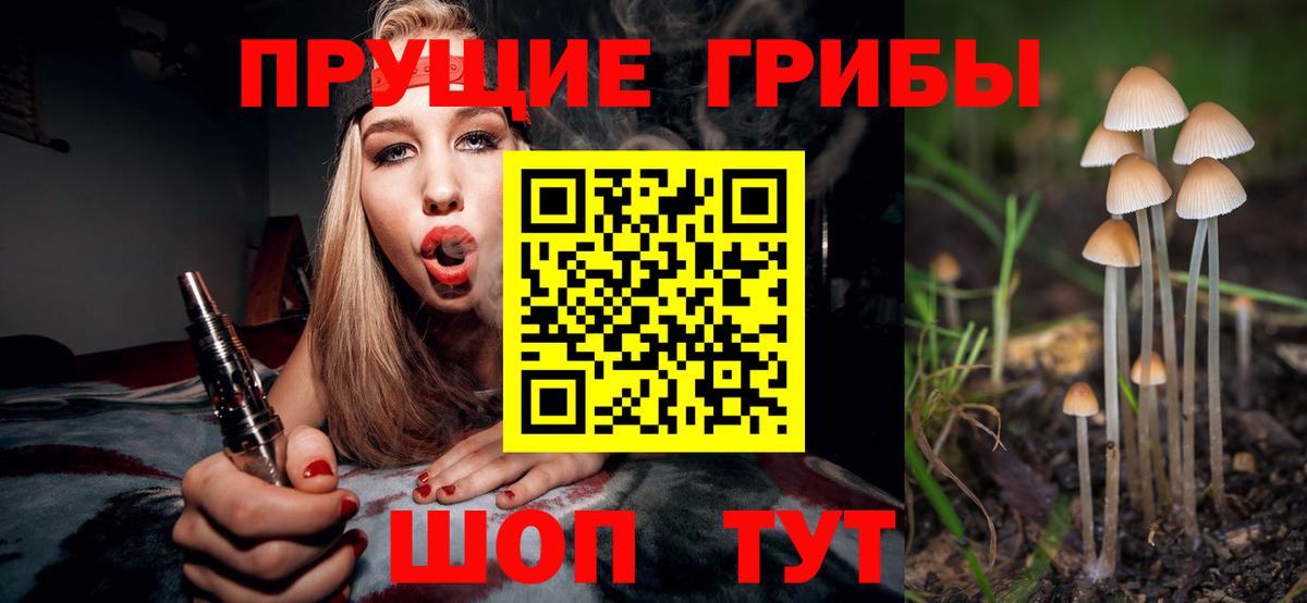Галлюциногенные грибы Psilocybine cubensis Партизанск