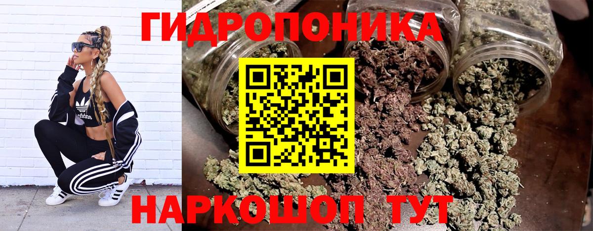 Канабис планчик Партизанск